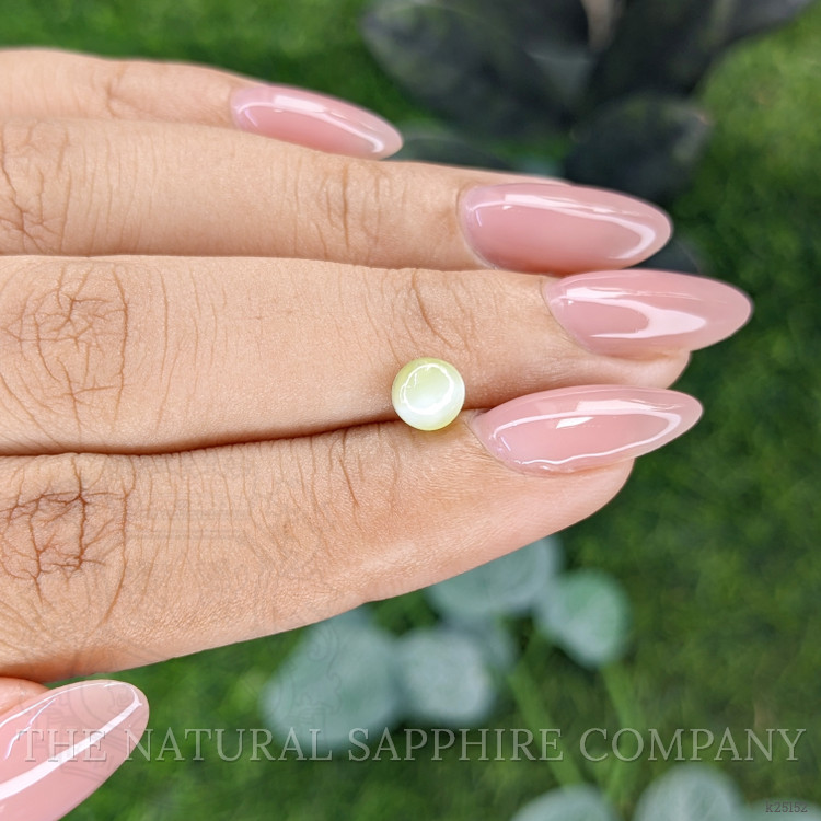 1.17 Ct. Yellowish Green Cabochon Chrysoberyl from Ceylon (Sri Lanka)