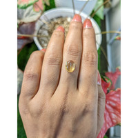 2.34 Ct. Yellow Cabochon Citrine from Ceylon (Sri Lanka) Life Style