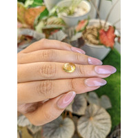 3.36 Ct. Yellow Cabochon Citrine from Ceylon (Sri Lanka) Life Style