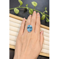 26.64 Ct. Blue Topaz from Brazil Life Style