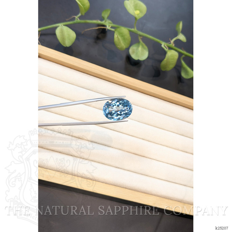 26.64 Ct. Blue Topaz from Brazil