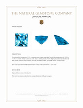 9.21 Ct. Swiss Blue Topaz from Brazil Appraisal
