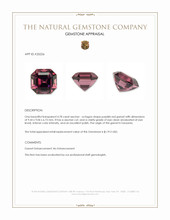4.78 Ct. Purplish Red Garnet from Tanzania Appraisal