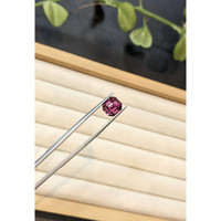 4.78 Ct. Purplish Red Garnet from Tanzania Life Style