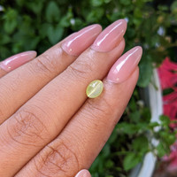 1.36 Ct. Greenish Yellow Cabochon Chrysoberyl from Tanzania Life Style
