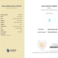2.72 Ct. Blue Aquamarine from Brazil Scan Report