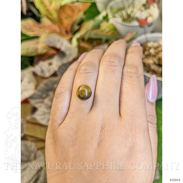 4.48 Ct. Cabochon Tiger's Eye from South Africa
