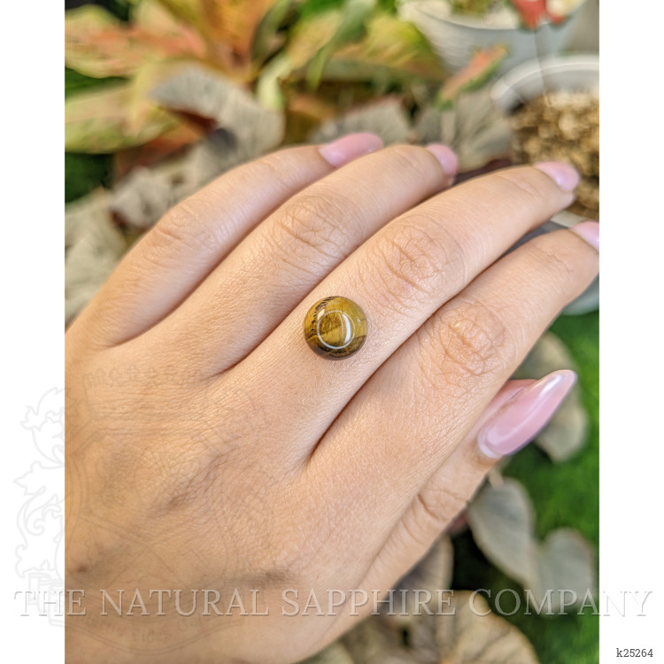 4.48 Ct. Cabochon Tiger's Eye from South Africa