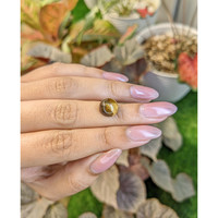 4.48 Ct. Cabochon Tiger's Eye from South Africa Life Style