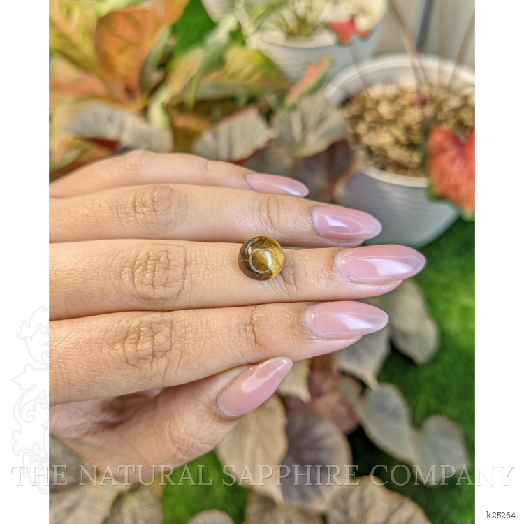 4.48 Ct. Cabochon Tiger's Eye from South Africa