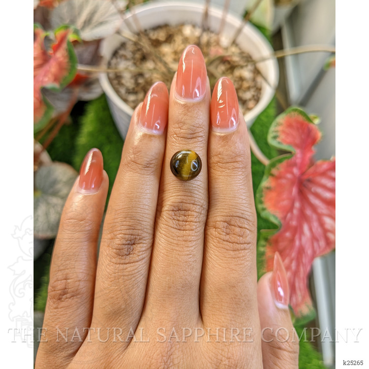 4.35 Ct. Cabochon Tiger's Eye from South Africa