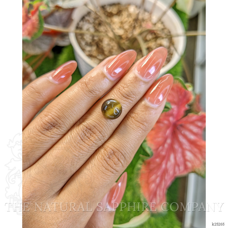 4.35 Ct. Cabochon Tiger's Eye from South Africa