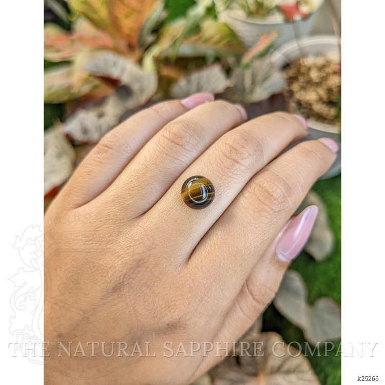 4.29 Ct. Cabochon Tiger's Eye from South Africa