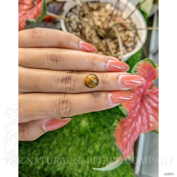 4.33 Ct. Cabochon Tiger's Eye from South Africa