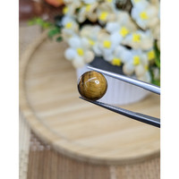 4.33 Ct. Cabochon Tiger's Eye from South Africa Life Style