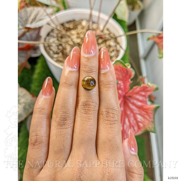 4.59 Ct. Cabochon Tiger's Eye from South Africa