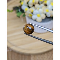 4.59 Ct. Cabochon Tiger's Eye from South Africa Life Style