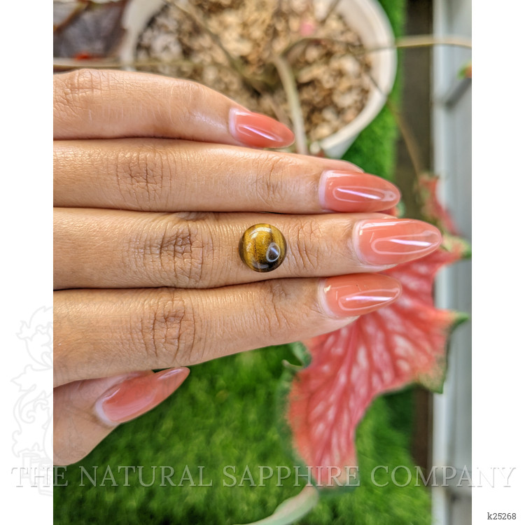 4.59 Ct. Cabochon Tiger's Eye from South Africa