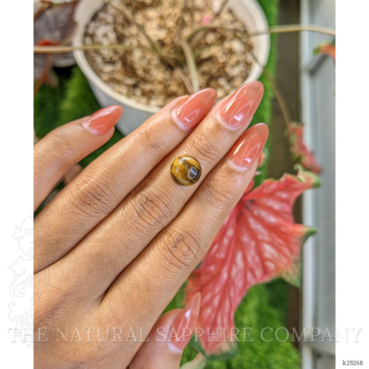 4.59 Ct. Cabochon Tiger's Eye from South Africa