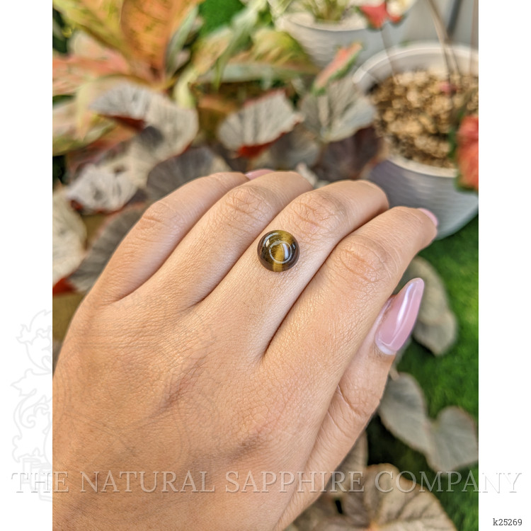 4.39 Ct. Cabochon Tiger's Eye from South Africa