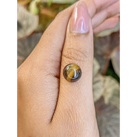4.39 Ct. Cabochon Tiger's Eye from South Africa Life Style