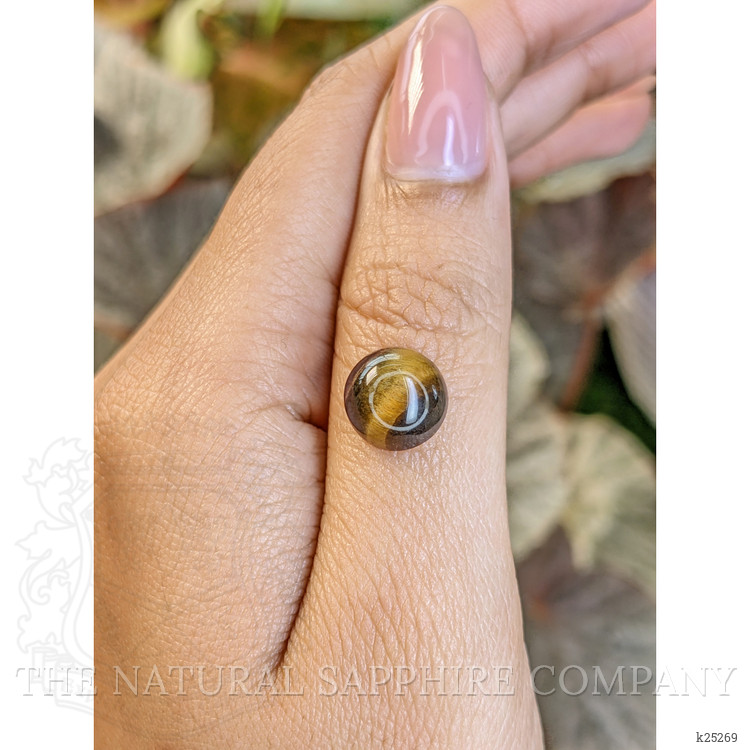 4.39 Ct. Cabochon Tiger's Eye from South Africa