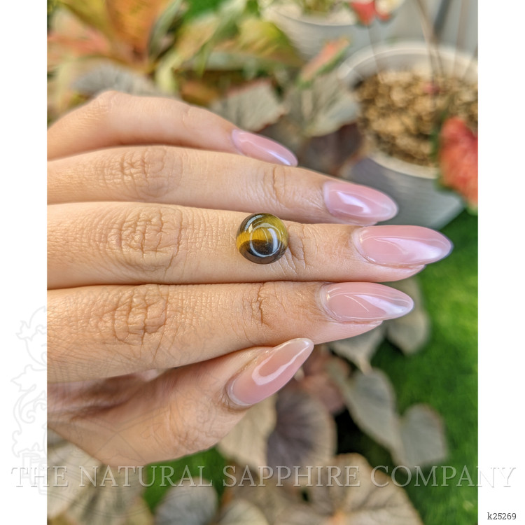 4.39 Ct. Cabochon Tiger's Eye from South Africa