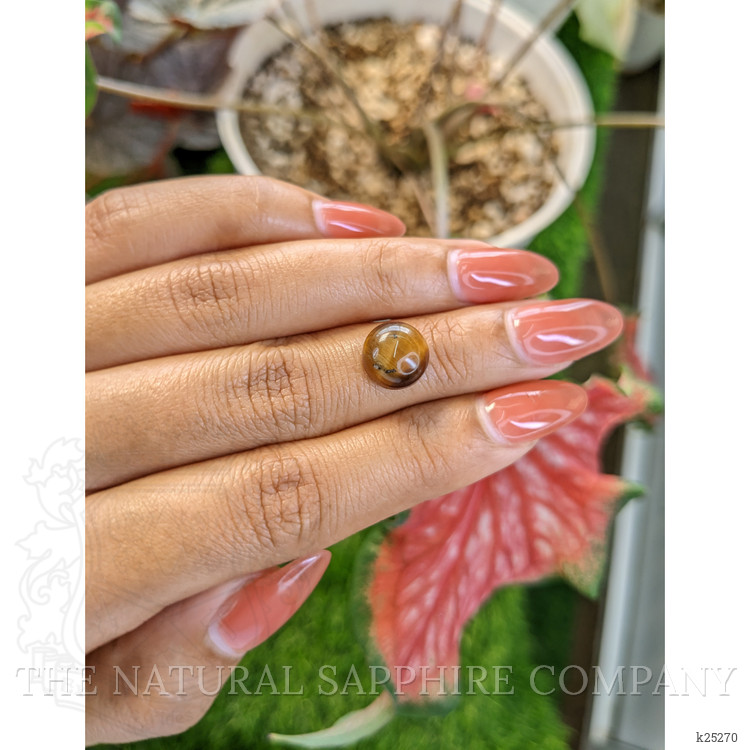 4.36 Ct. Cabochon Tiger's Eye from South Africa