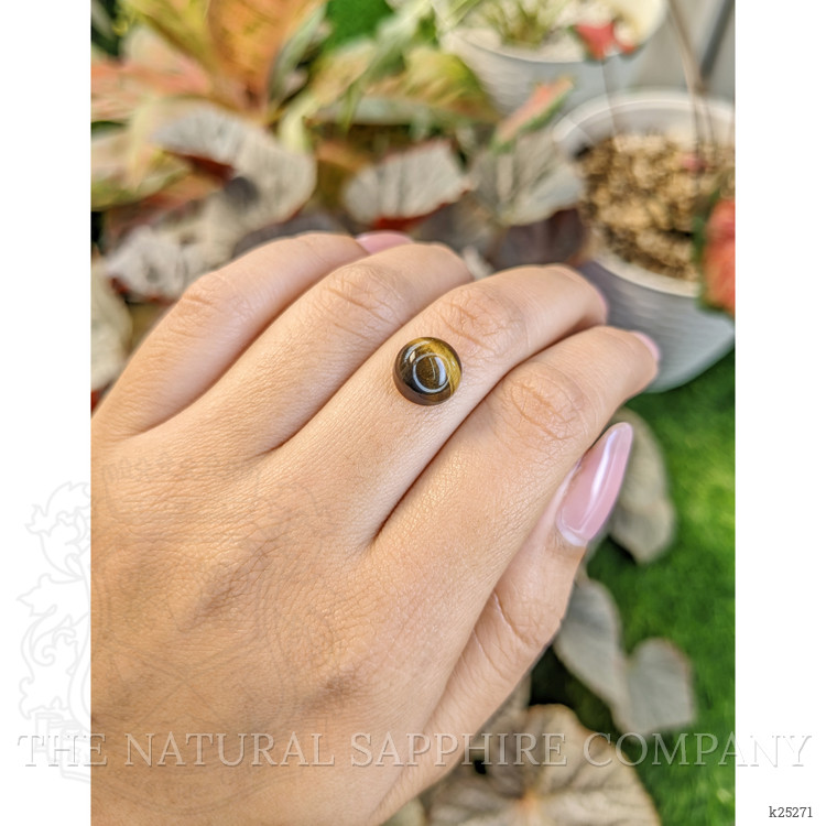 4.36 Ct. Cabochon Tiger's Eye from South Africa