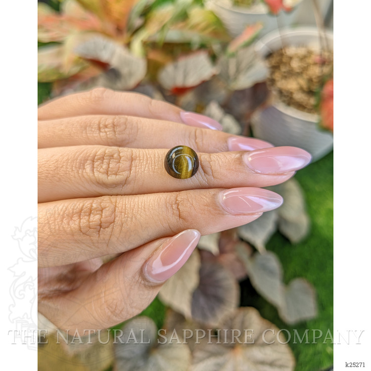 4.36 Ct. Cabochon Tiger's Eye from South Africa