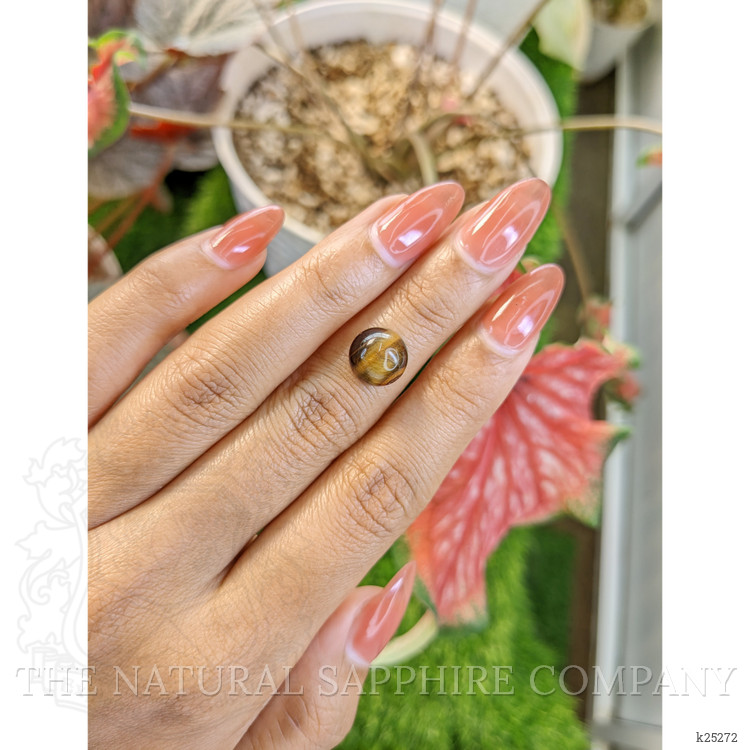 4.32 Ct. Cabochon Tiger's Eye from South Africa