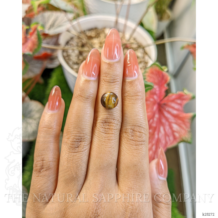 4.32 Ct. Cabochon Tiger's Eye from South Africa