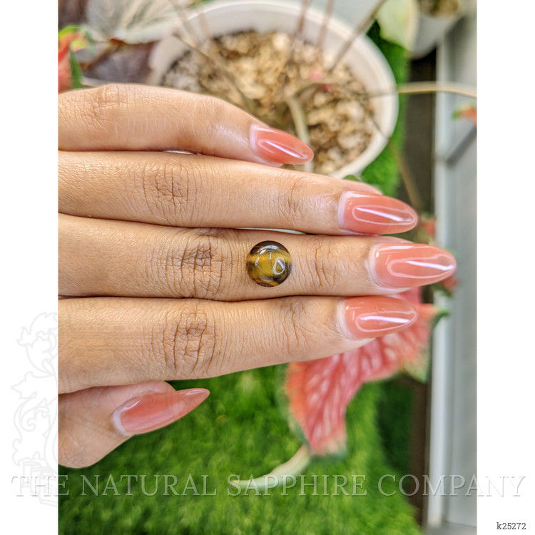 4.32 Ct. Cabochon Tiger's Eye from South Africa