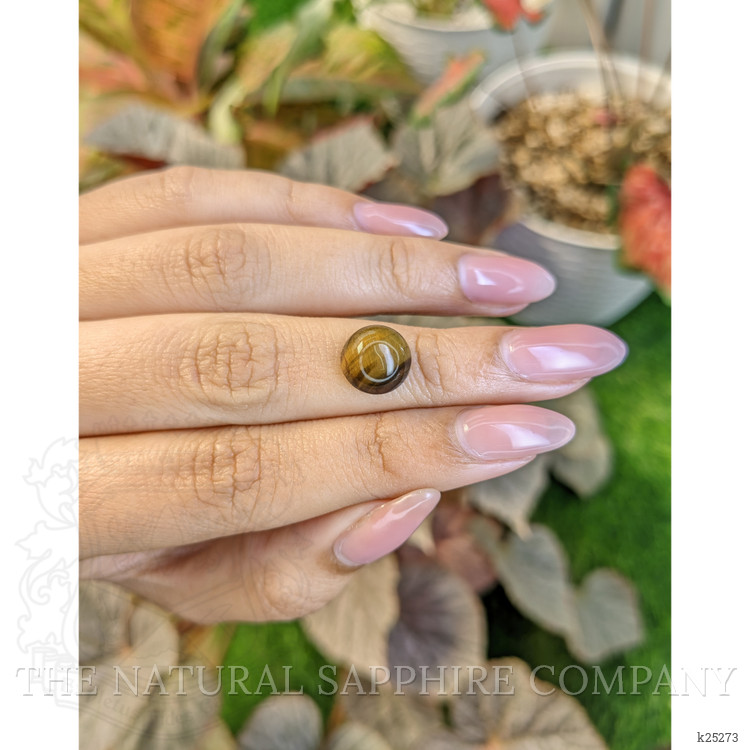 4.42 Ct. Cabochon Tiger's Eye from South Africa