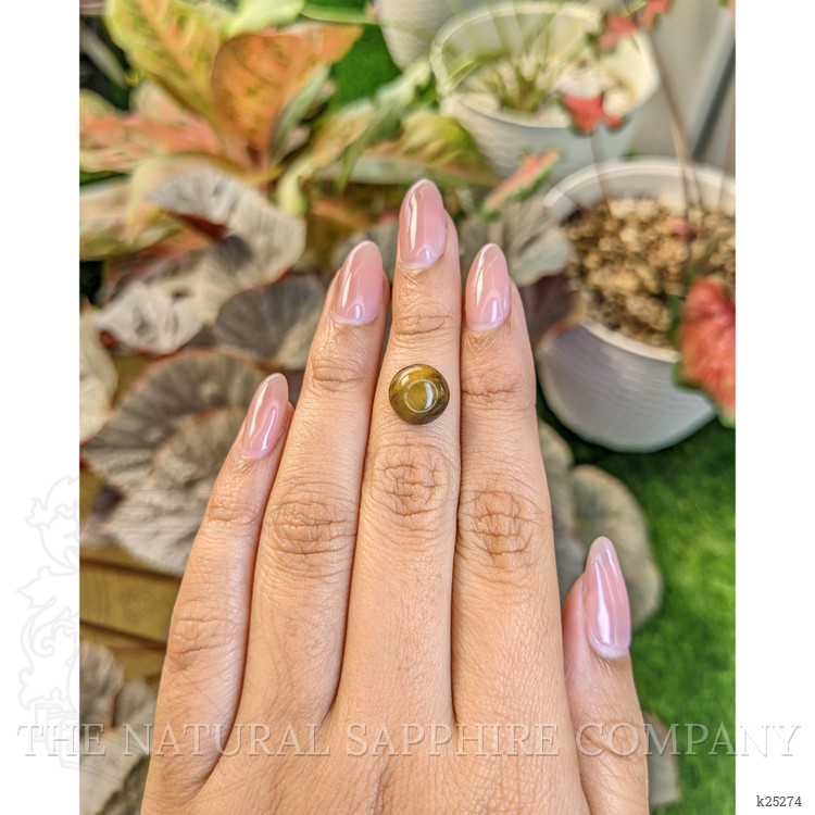 4.57 Ct. Cabochon Tiger's Eye from South Africa
