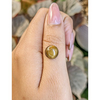 4.57 Ct. Cabochon Tiger's Eye from South Africa Life Style