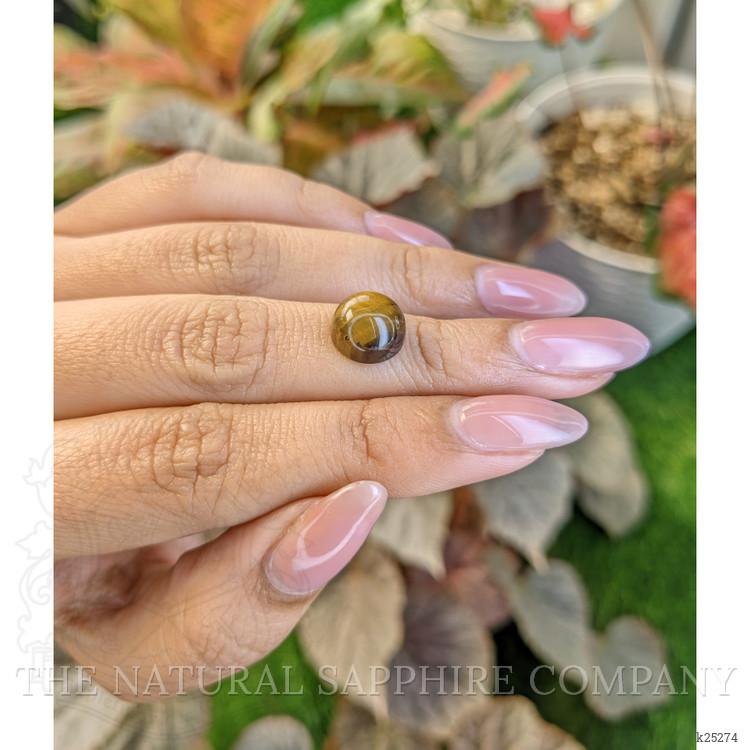 4.57 Ct. Cabochon Tiger's Eye from South Africa