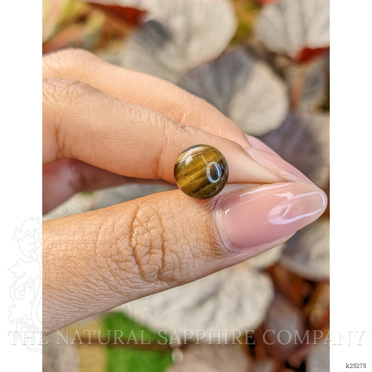 4.44 Ct. Cabochon Tiger's Eye from South Africa