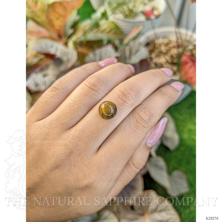4.24 Ct. Cabochon Tiger's Eye from South Africa