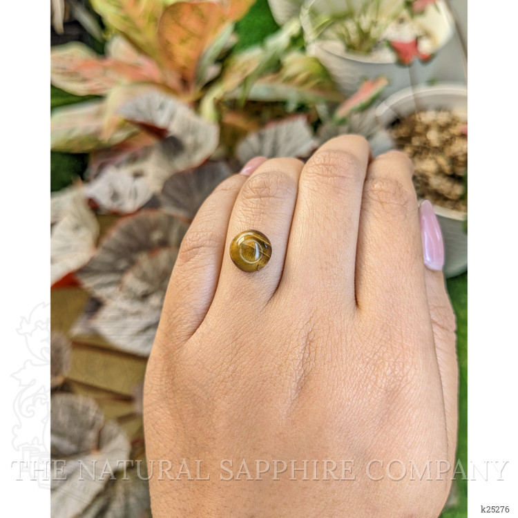 4.24 Ct. Cabochon Tiger's Eye from South Africa