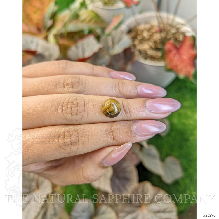 4.24 Ct. Cabochon Tiger's Eye from South Africa