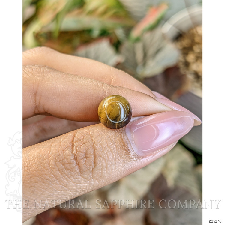 4.24 Ct. Cabochon Tiger's Eye from South Africa