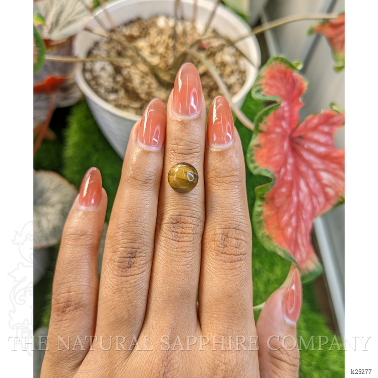 4.40 Ct. Cabochon Tiger's Eye from South Africa