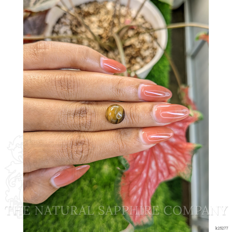 4.40 Ct. Cabochon Tiger's Eye from South Africa