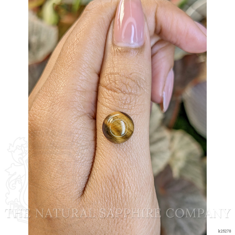 4.42 Ct. Cabochon Tiger's Eye from South Africa