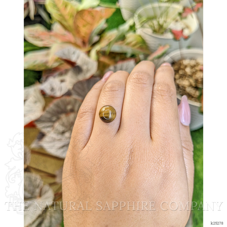 4.42 Ct. Cabochon Tiger's Eye from South Africa
