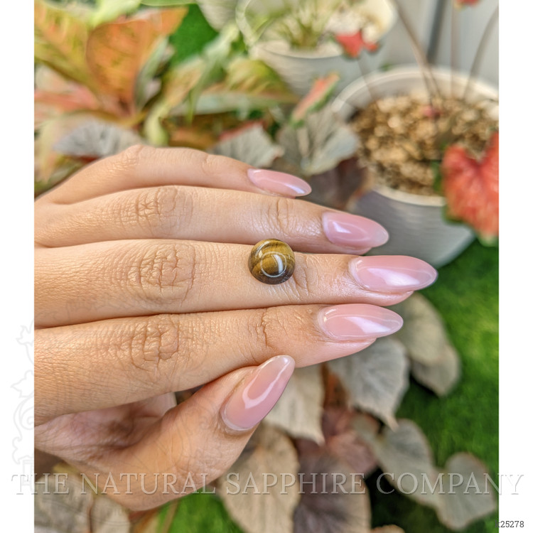4.42 Ct. Cabochon Tiger's Eye from South Africa