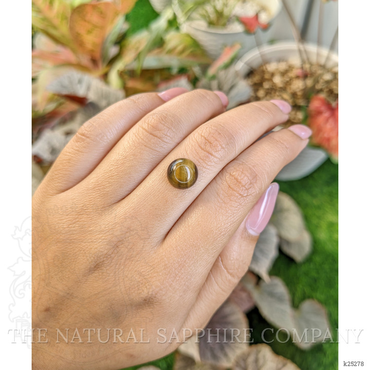 4.42 Ct. Cabochon Tiger's Eye from South Africa