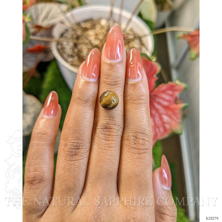 4.44 Ct. Cabochon Tiger's Eye from South Africa