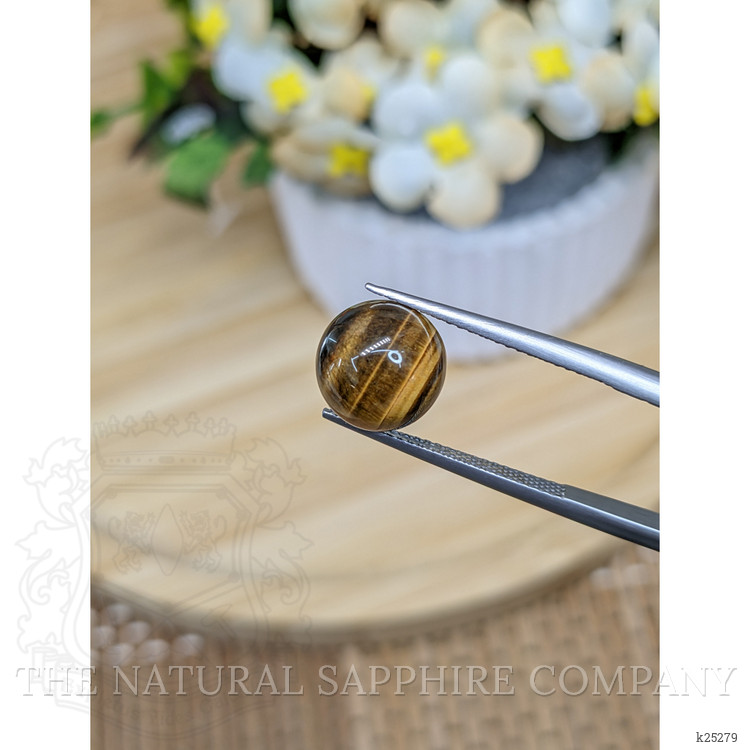 4.44 Ct. Cabochon Tiger's Eye from South Africa